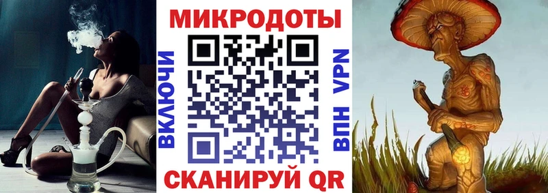 Псилоцибиновые грибы Psilocybine cubensis  Щёлкино 